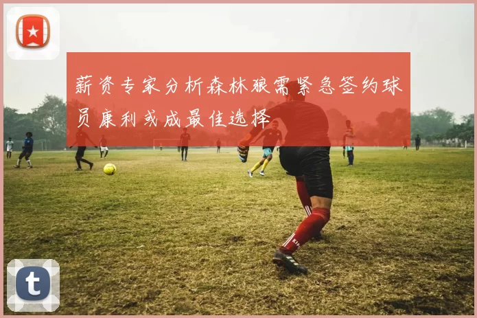 薪资专家分析森林狼需紧急签约球员康利或成最佳选择